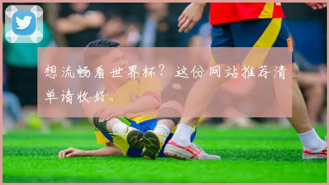 想流畅看世界杯？这份网站推荐清单请收好。