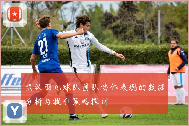 武汉羽毛球队团队协作表现的数据分析与提升策略探讨