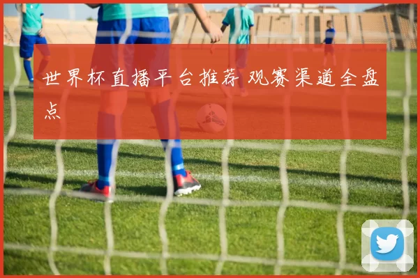 世界杯直播平台推荐 观赛渠道全盘点