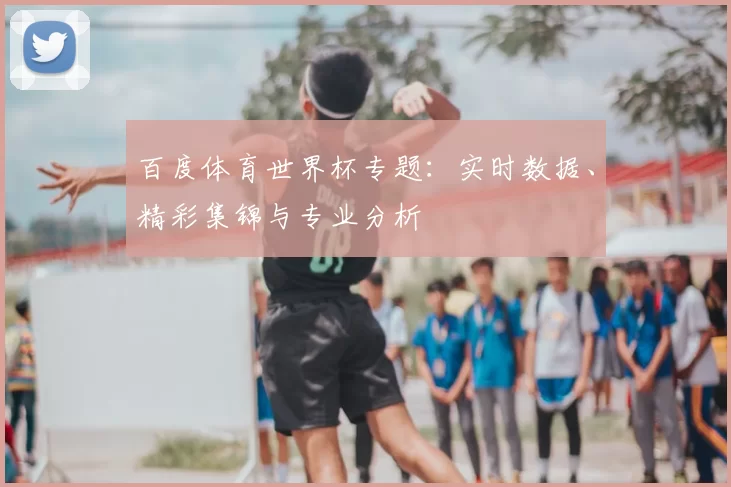 百度体育世界杯专题:实时数据、精彩集锦与专业分析