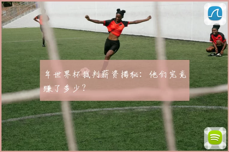 年世界杯裁判薪资揭秘：他们究竟赚了多少？