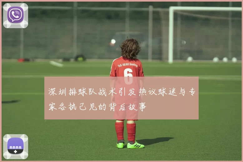 深圳排球队战术引发热议球迷与专家各执己见的背后故事