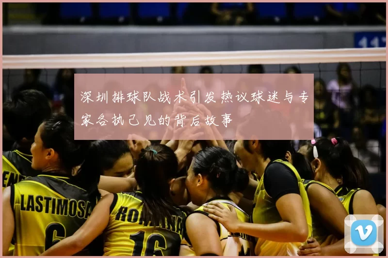 深圳排球队战术引发热议球迷与专家各执己见的背后故事