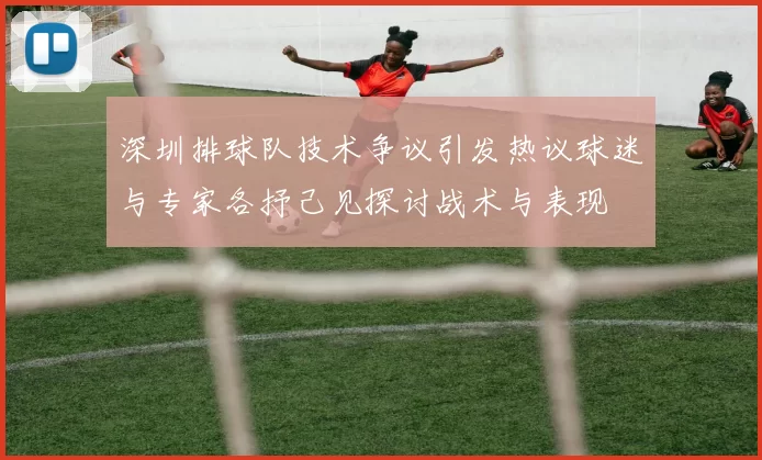深圳排球队技术争议引发热议球迷与专家各抒己见探讨战术与表现