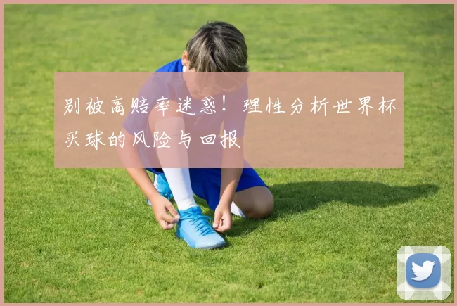 别被高赔率迷惑!理性分析世界杯买球的风险与回报