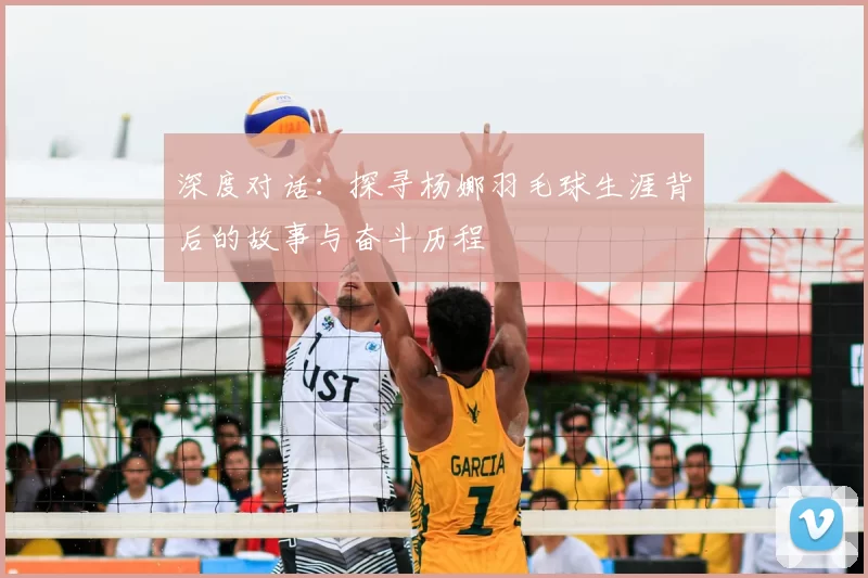 深度对话:探寻杨娜羽毛球生涯背后的故事与奋斗历程