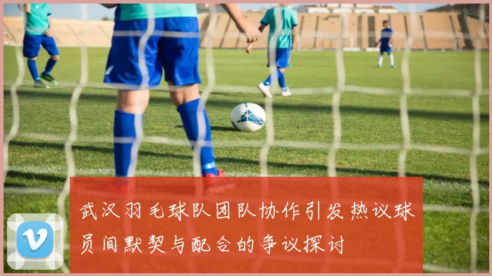 武汉羽毛球队团队协作引发热议球员间默契与配合的争议探讨