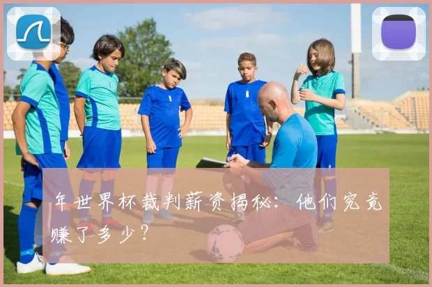年世界杯裁判薪资揭秘:他们究竟赚了多少?