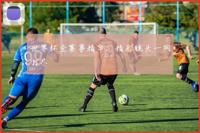 世界杯全赛事精华:精彩镜头一网打尽